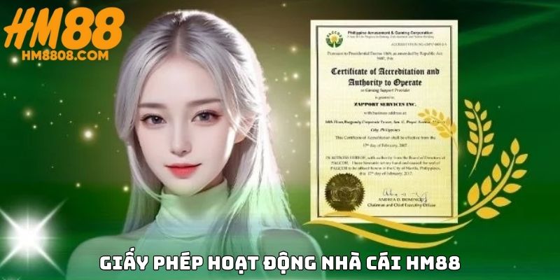 Thông tin về giấy phép hoạt động HM88 đang sở hữu 