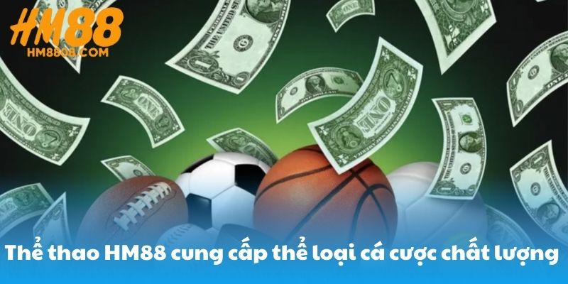 Thể thao HM88 cung cấp thể loại cá cược chất lượng